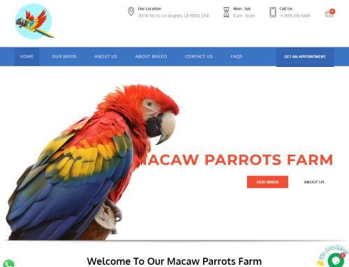 macawparrotsfarm.com